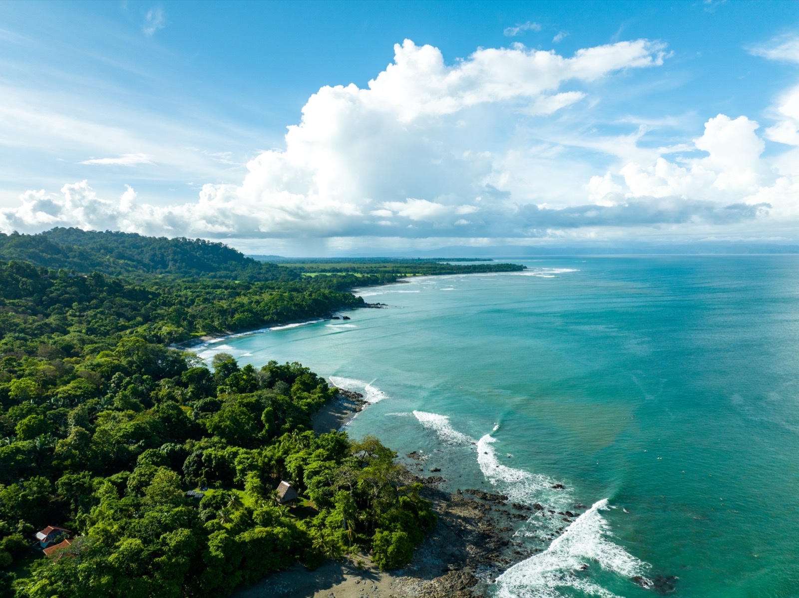 Isla del Caño Snorkeling